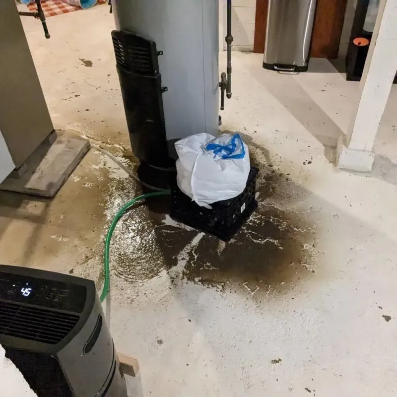 Sewage Backup Cleanup Service in Soda Bay, CA